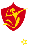 CMF Volley